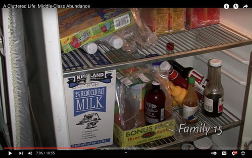 冰箱越大,吃得越差 美国中产冰箱里的食物体系
