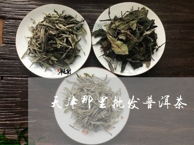 天津那里批发普洱茶-天津茶叶场排名