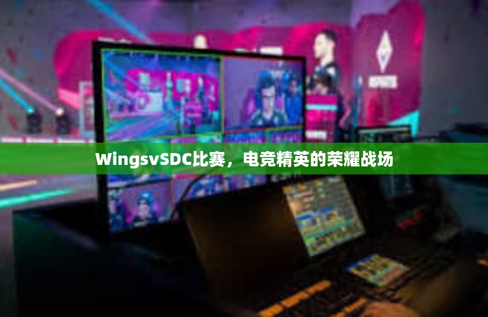 WingsvSDC比赛，电竞精英的荣耀战场