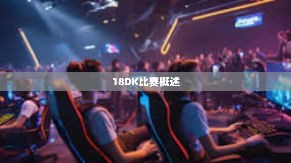 18DK比赛概述